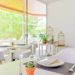 Hyde Park Lane 4* Puerto del Carmen (Lanzarote)