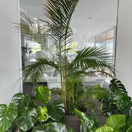 海德公园巷道酒店 公寓式酒店
