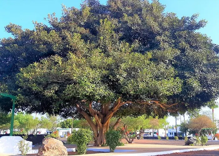 Hotel apartamentowy Hyde Park Lane Puerto del Carmen (Lanzarote)