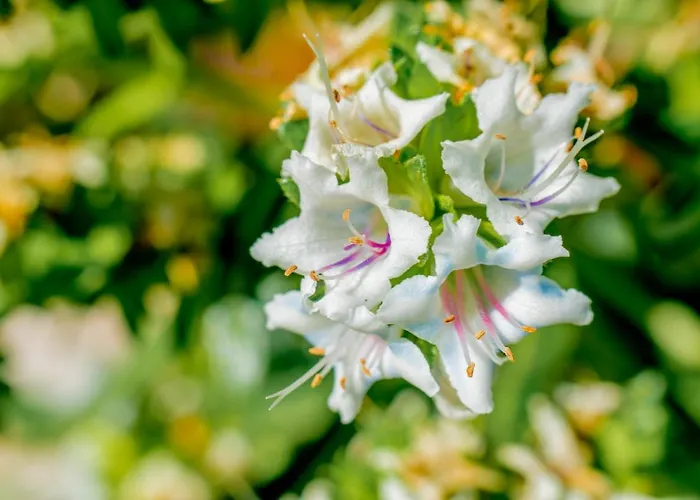 Hyde Park Lane Hotel apartamentowy 4*